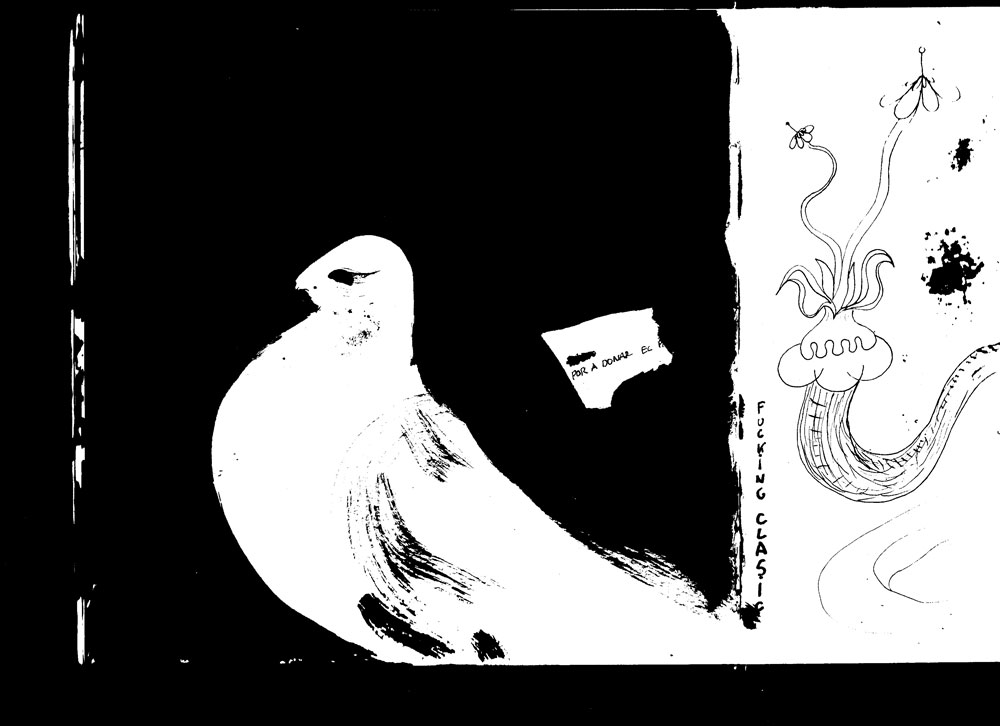 COLOMO-BLANCO-por-Bernat-Gustà