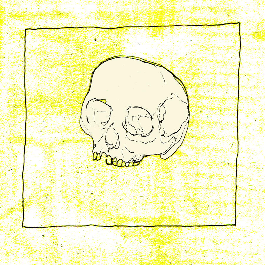Calavera-2-per-Bernat-Gustà