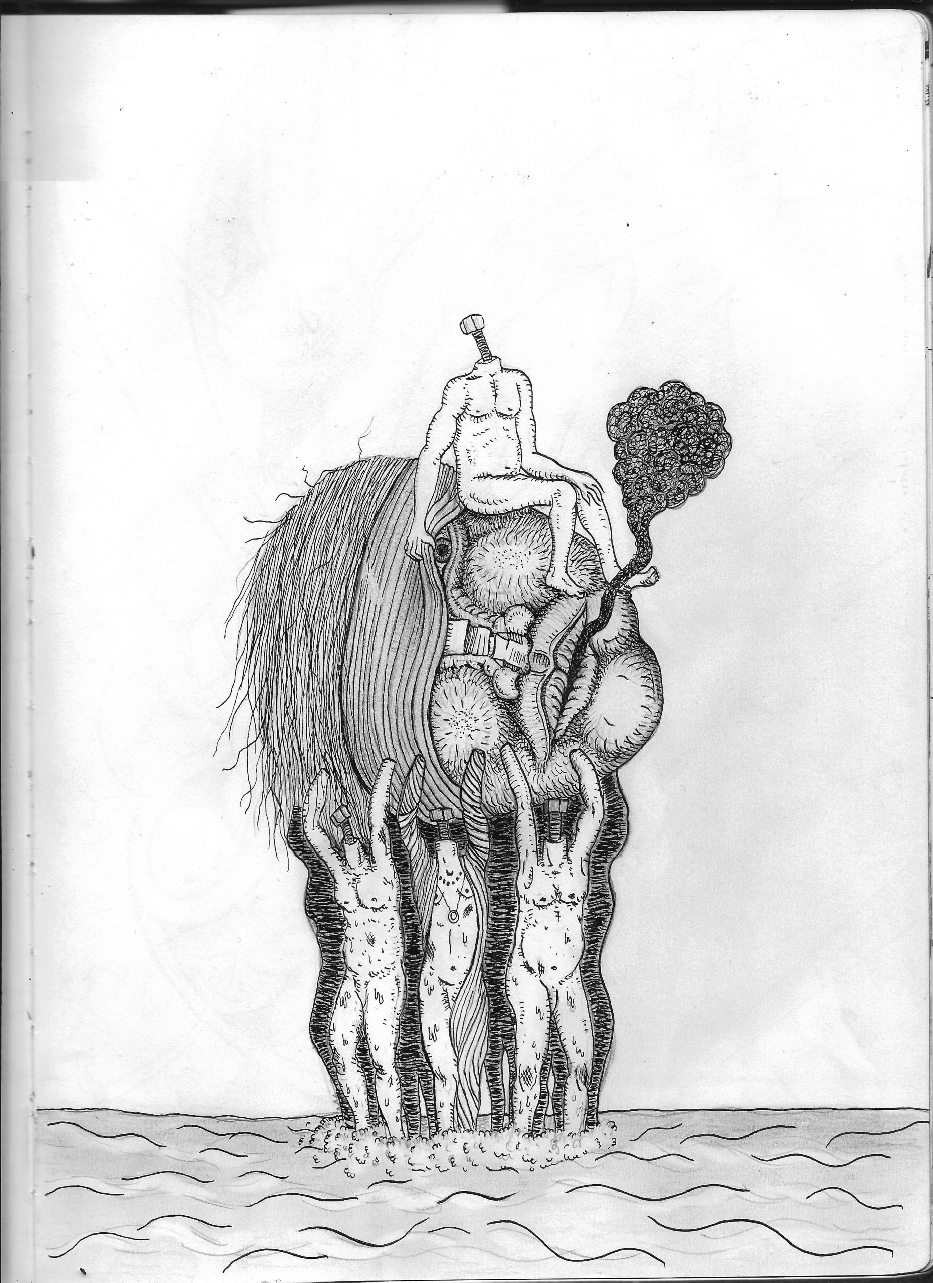 Imagen (14)
