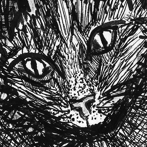 A-CAT-A