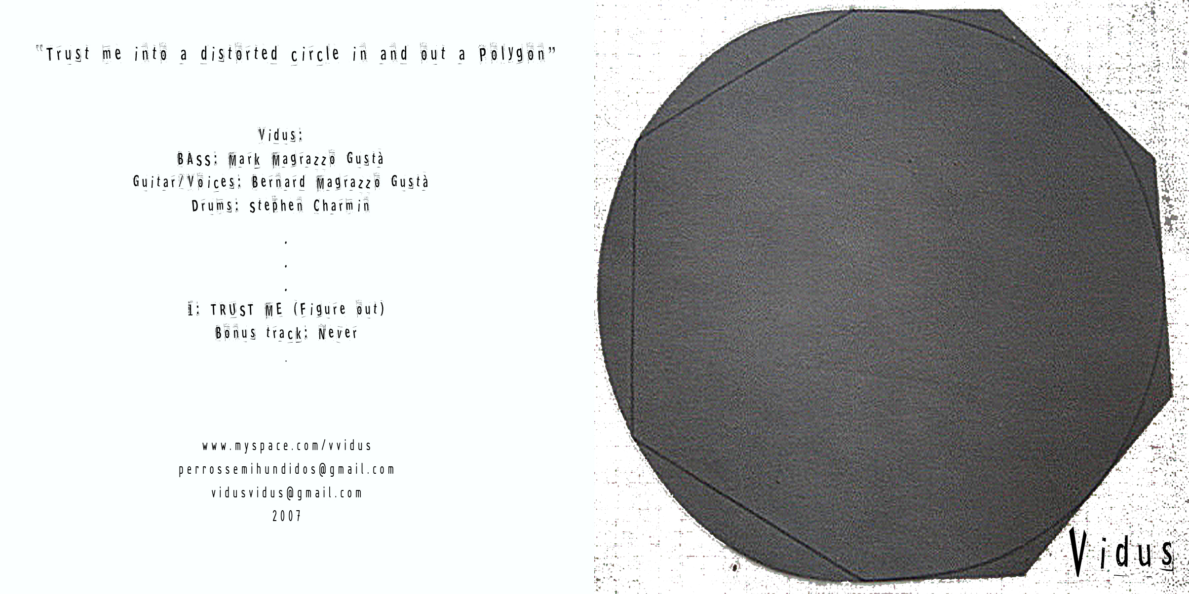 a Vidus Distorted circle in and out a Polygon Robert Mangold